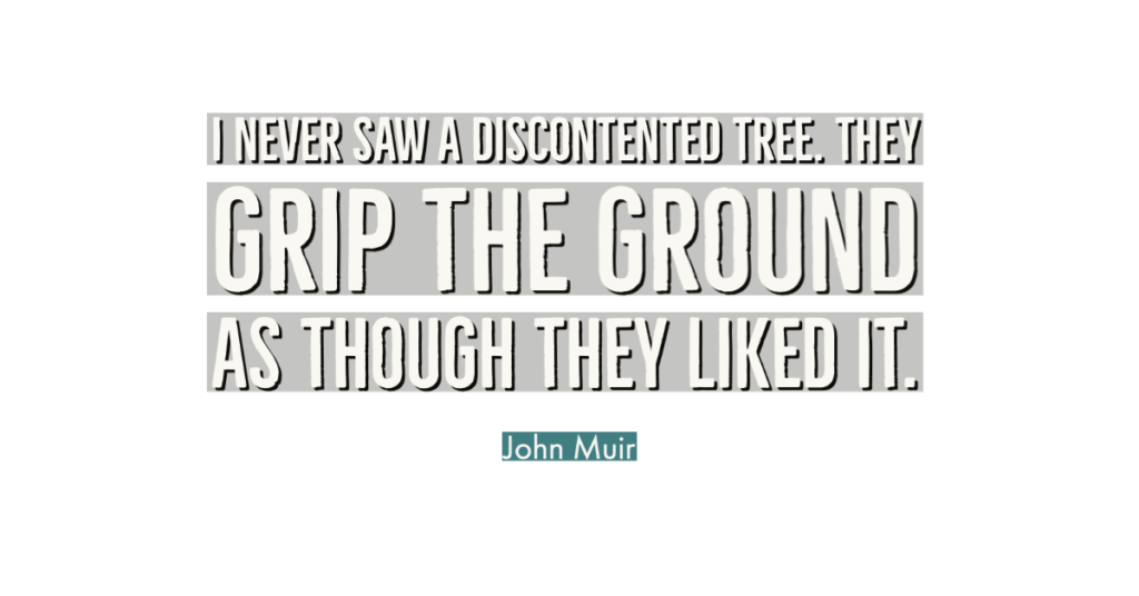 I Never Saw a Discontented Tree