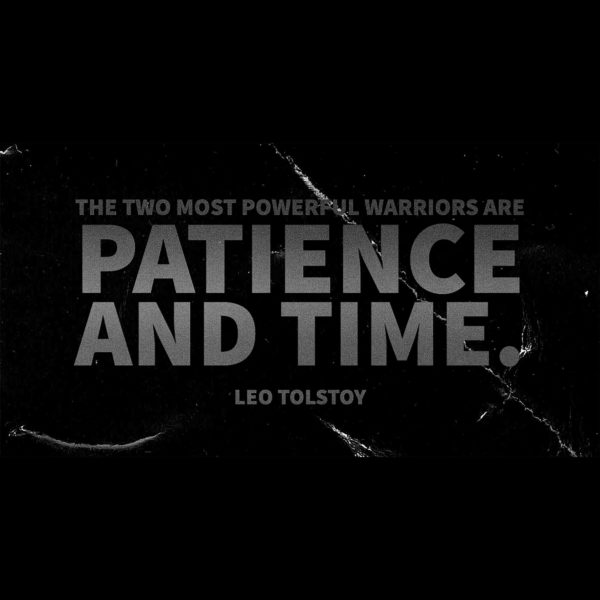 Leo Tolstoy The two most powerful warriors are patience and time.