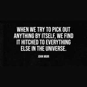 When we try to pick out anything by itself, we find it hitched to everything else in the universe. — John Muir