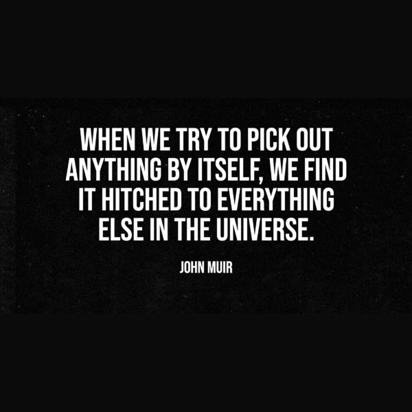 When we try to pick out anything by itself, we find it hitched to everything else in the universe. — John Muir